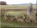 Recumbent Stone Circle at Cairnfauld Farm Aberdeenshire