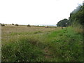 Harvested Field near Little Townend