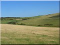 Downland near Eastbourne