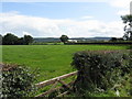 Fields near New House corner