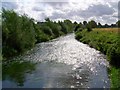 River Wylye near South Newton