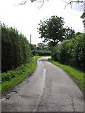SO6742 : Lane near Upleadon Farm by Peter Whatley