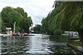 Above Shepperton Lock