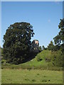 Wallingford Castle seen from Queen