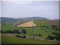 Penhydd Fawr Farm