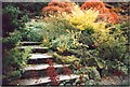 Steps in the Branklyn Gardens