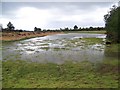 Waterlogged area near Abbots Well