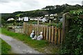 Allotments on Crofts Lea Park.