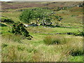 Ruins at Galtrigill