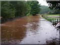 Road at Rockfield during a wet period