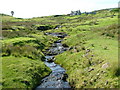 Burn in Upper Milovaig