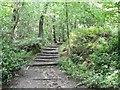 Footpath, St Ives Estate, Harden