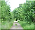 Track through the Golf Course