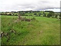 Culmore Townland