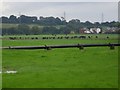 Fields between Thornton and Merry Lees