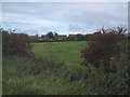 Backs of Houses in Capel Lane Seen across the Fields