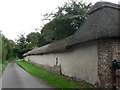 Minchington: thatched wall