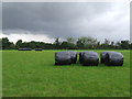 Bales of hay