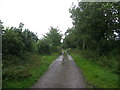 Lane near Scaleby Moss