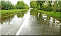 Floods near Moira (5)