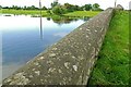 Floods near Moira (6)