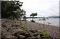 Milarrochy Bay, Loch Lomond