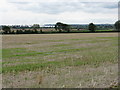 Large field at Ford Abbey junction