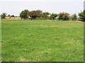 Meadow to the N of track at Hacklinge