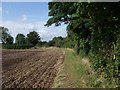 Trent Valley Way heading north-west from East Bridgford