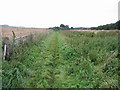 Looking SW along the Elham Valley Way