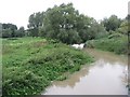 River Ouzel, Leighton Buzzard