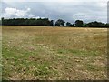 Stubble field near Cotton Spring Farm