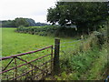 Footpath off Copes Lane