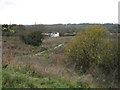 Looking Towards Honeypot Lane