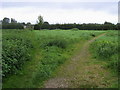 Footpath to the allotments