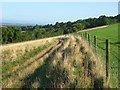 Pasture, Loosley Row