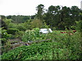 View over the garden of Pine Trees and Bridge Cottage