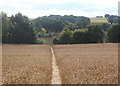 Footpath from Union Road to Finborough Road