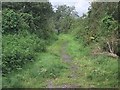 Footpath to Summer Lane