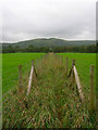 Footpath from Newtimber