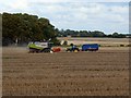 SU1078 : Combine and tractor/trailer north of Broad Hinton, Wiltshire by Brian Robert Marshall