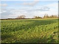 Farmland, Hob Hill