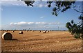 Harvested Field