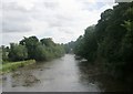 River Wharfe from Bridgefoot