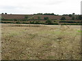 Footpath through the harvest