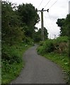 Wetherby Railway Path - Walton Road