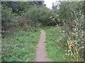 Dronfield - Footpath between Halfacre Lane and Callywhite Lane