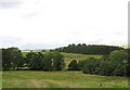 Woodland and Pasture