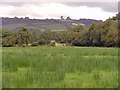 Meadow near Afon Marlais, Lampeter Velfrey: rainy weather