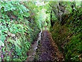 Bridleway near Ty-gwyn, Lampeter Velfrey